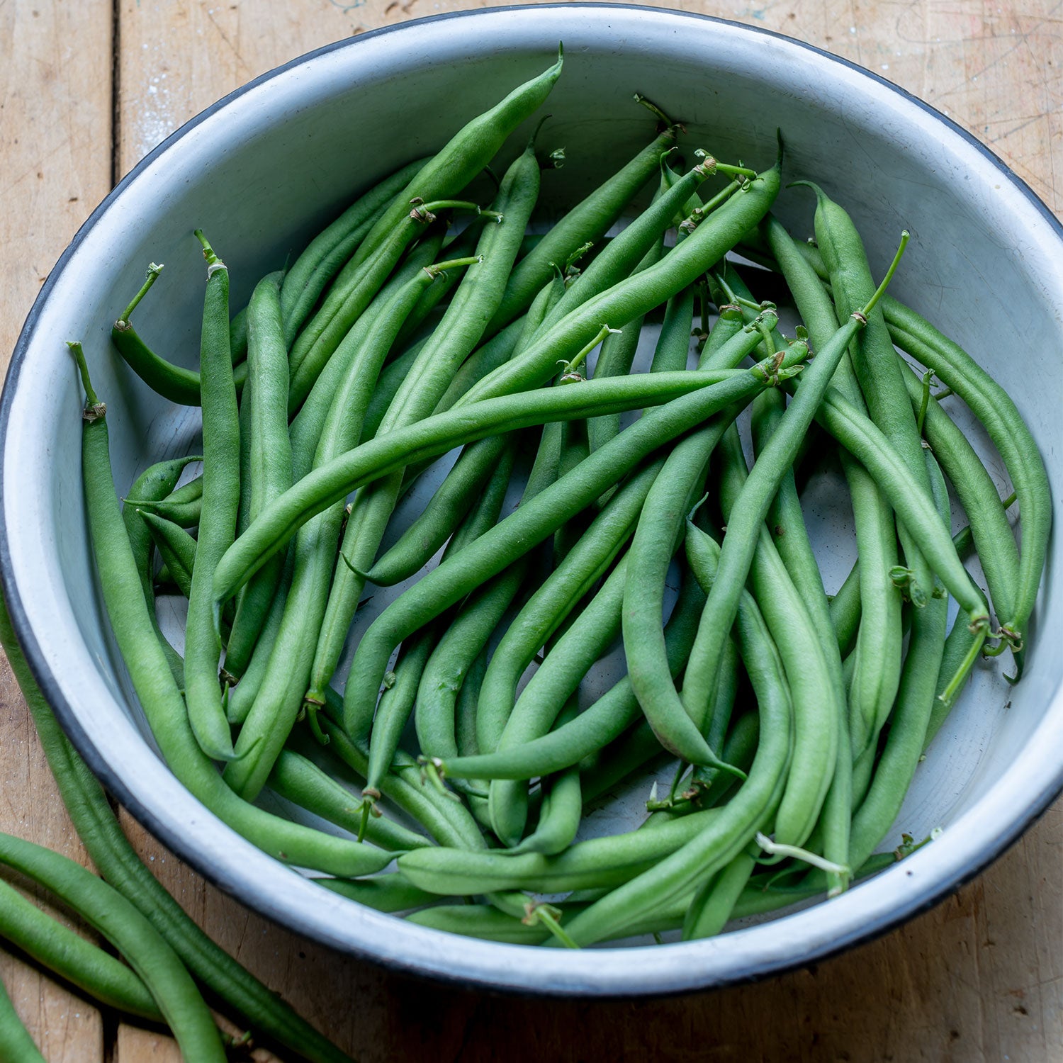 Porch Pick Bush Bean