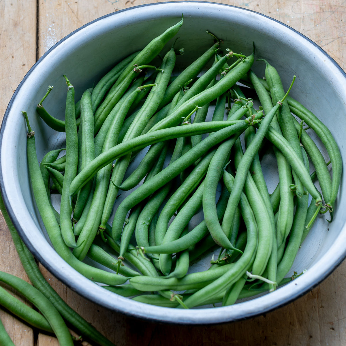 Porch Pick Bush Bean