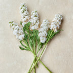 Iron White Stock