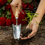 Burpee Stainless Steel Transplanter