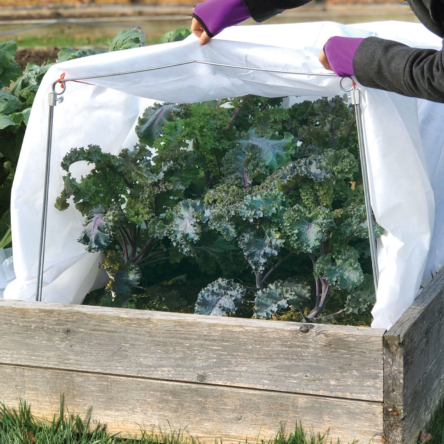 Burpee Exclusive Adjustable Frost Protection Kit
