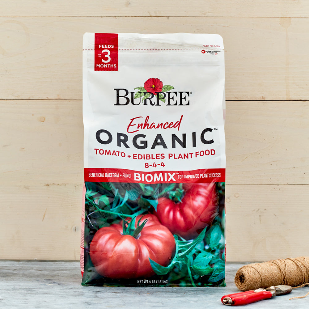 Burpee Enhanced Tomato + Edibles 8-4-4 Plant Food