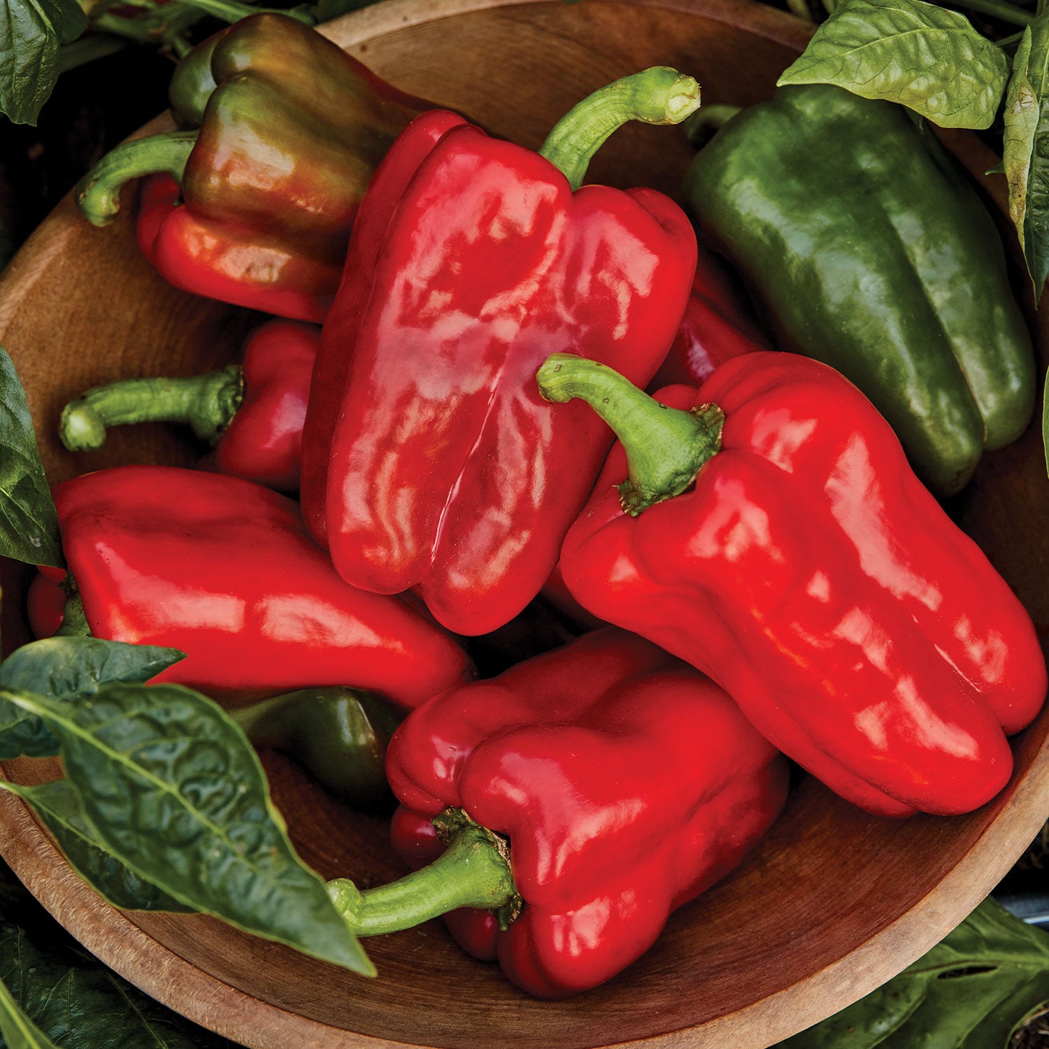 Great Stuff Sweet Pepper