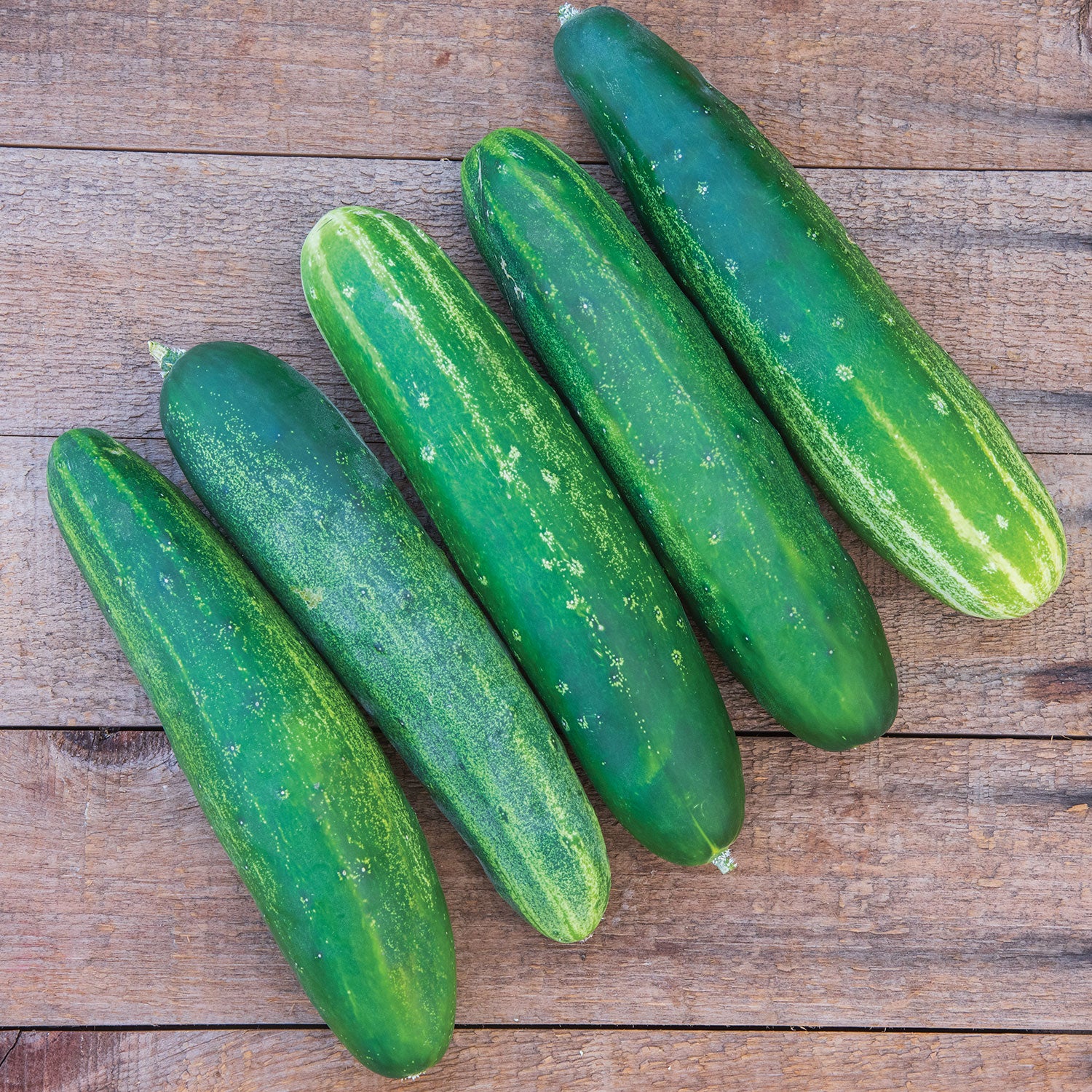 Straight Eight Cucumber