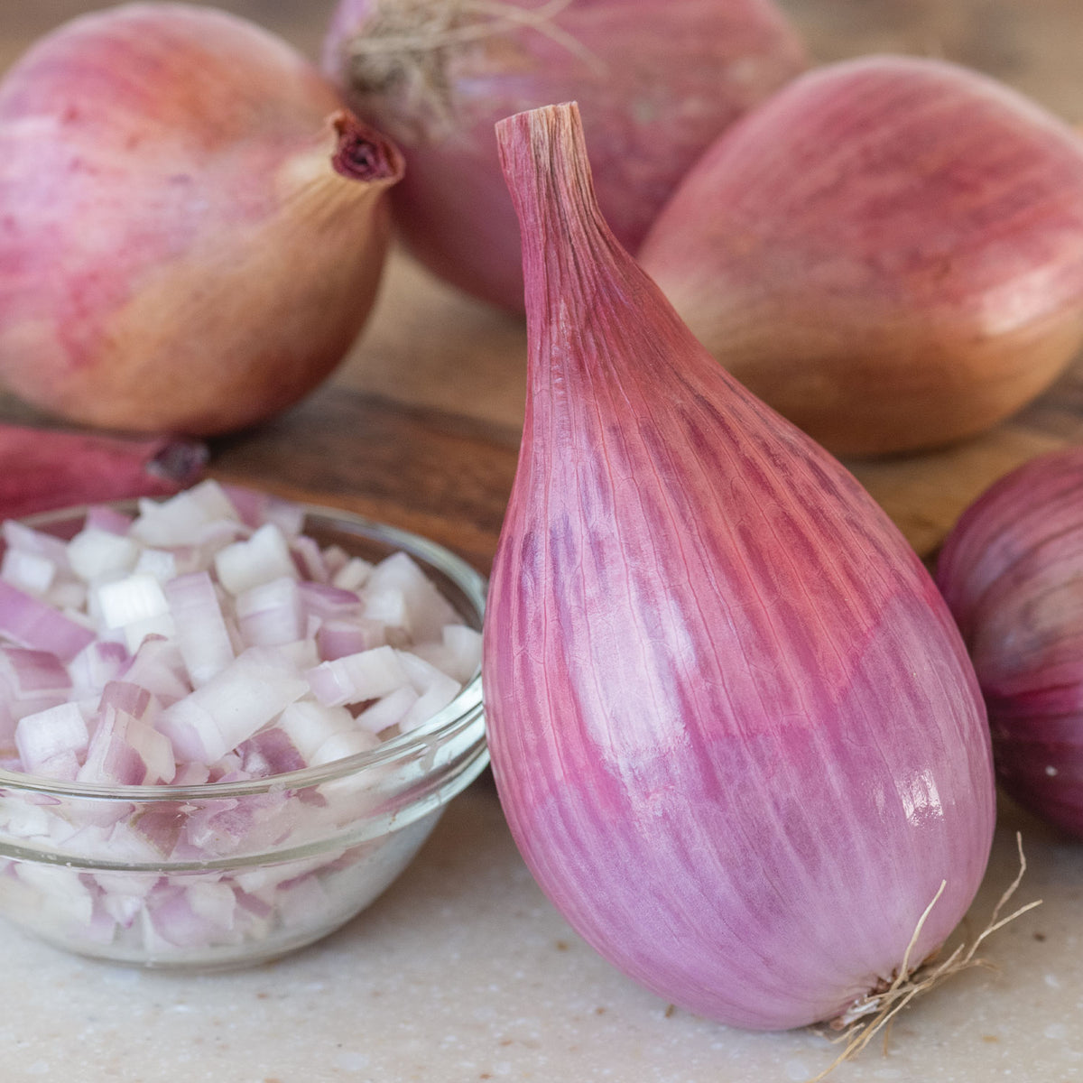 Davidor Shallots