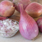 Davidor Shallots