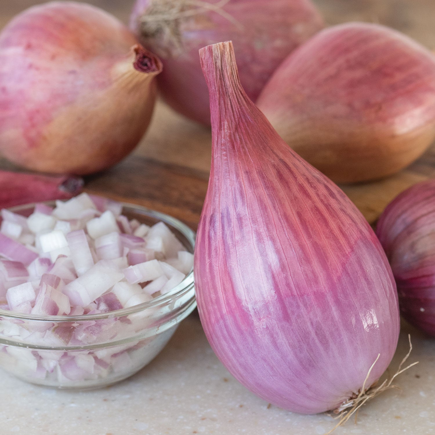 Davidor Shallots
