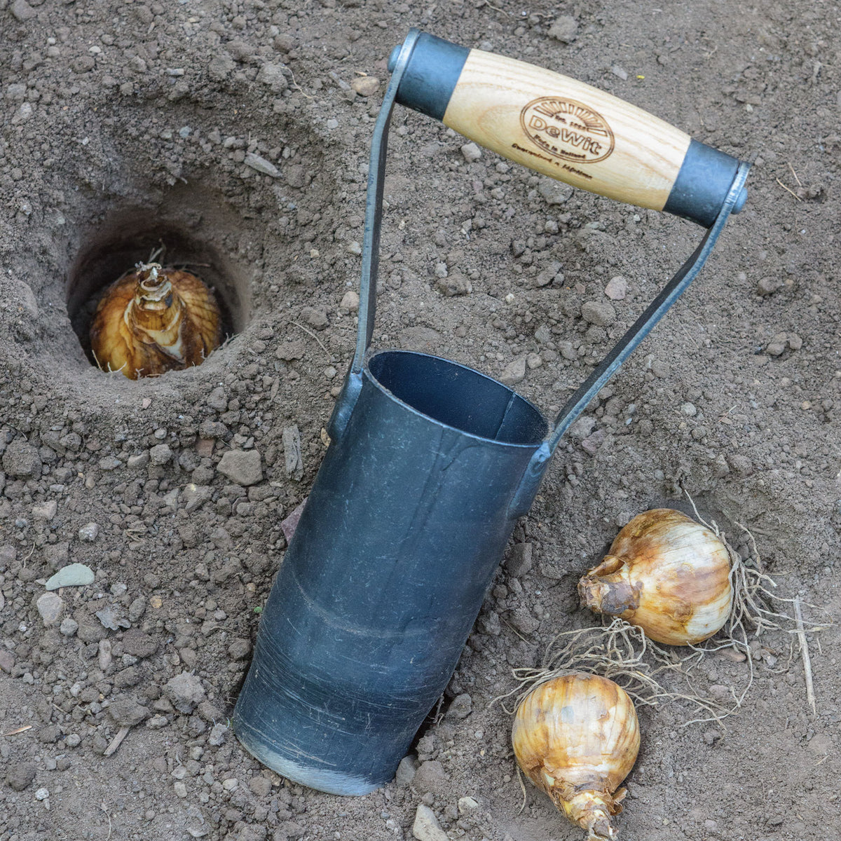 Short Handle Bulb Planter