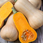 Waltham Butternut Organic Squash