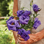 Lisianthus "The Blue Rose"®