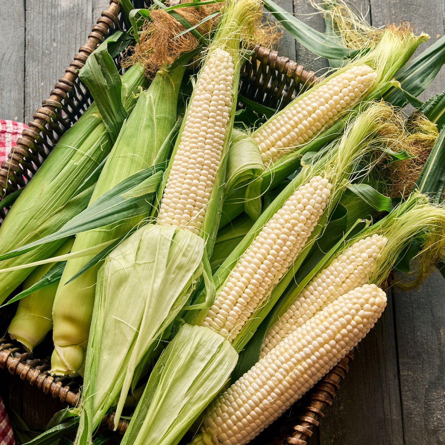 Magnolia Sweet Corn