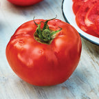 Rutgers Tomato