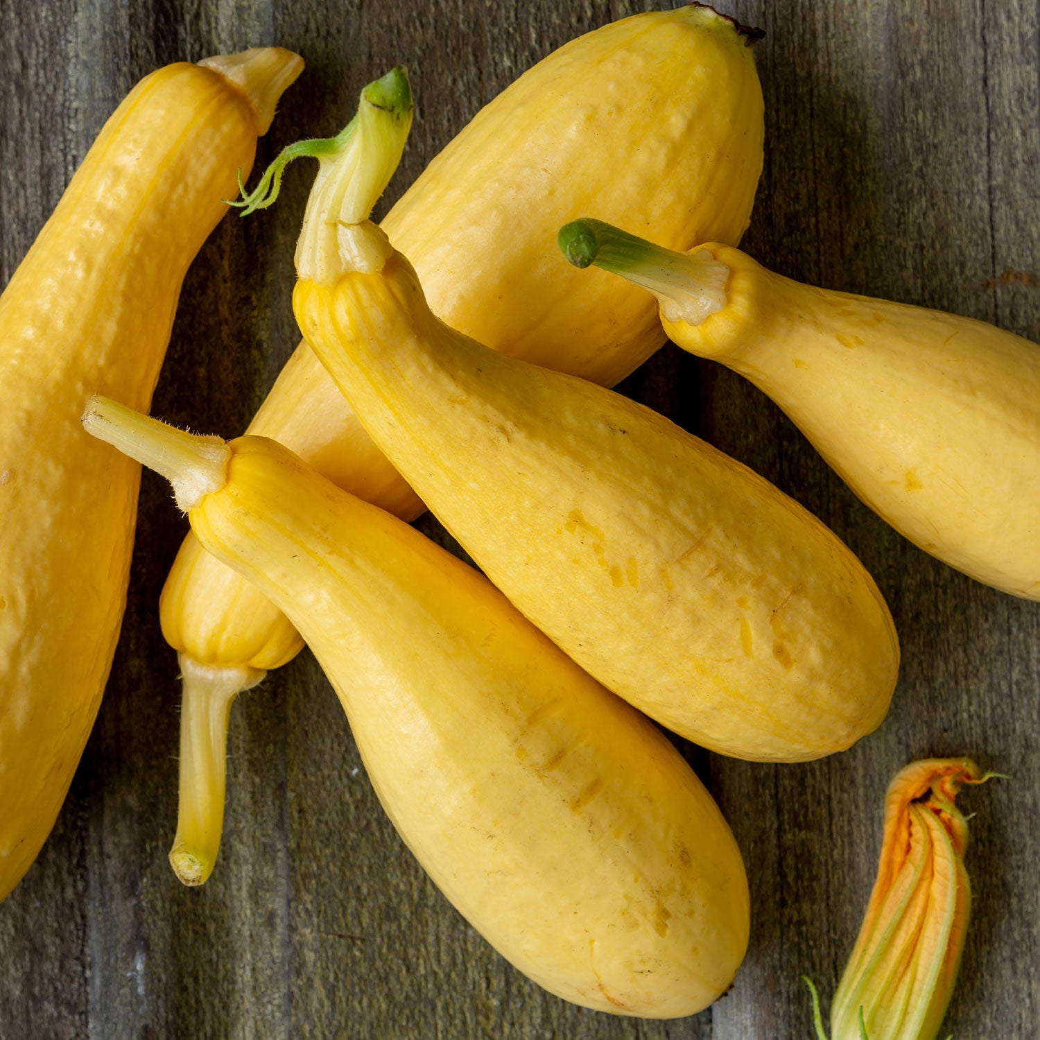 Saffron Summer Squash