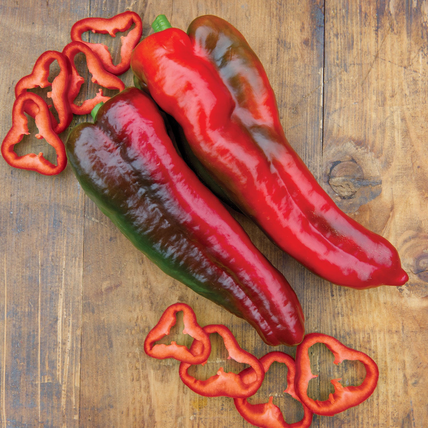 Thunderbolt Sweet Pepper
