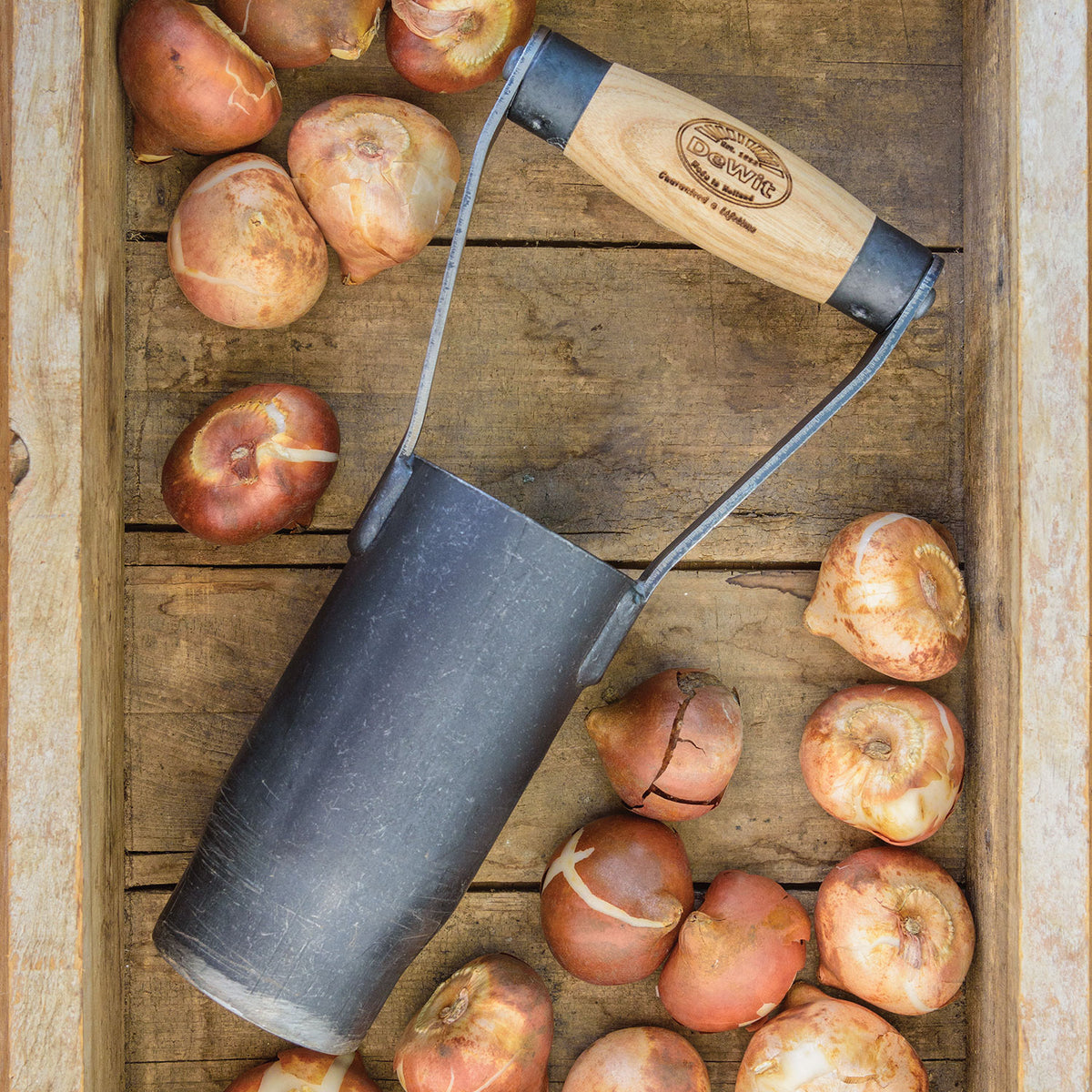Short Handle Bulb Planter