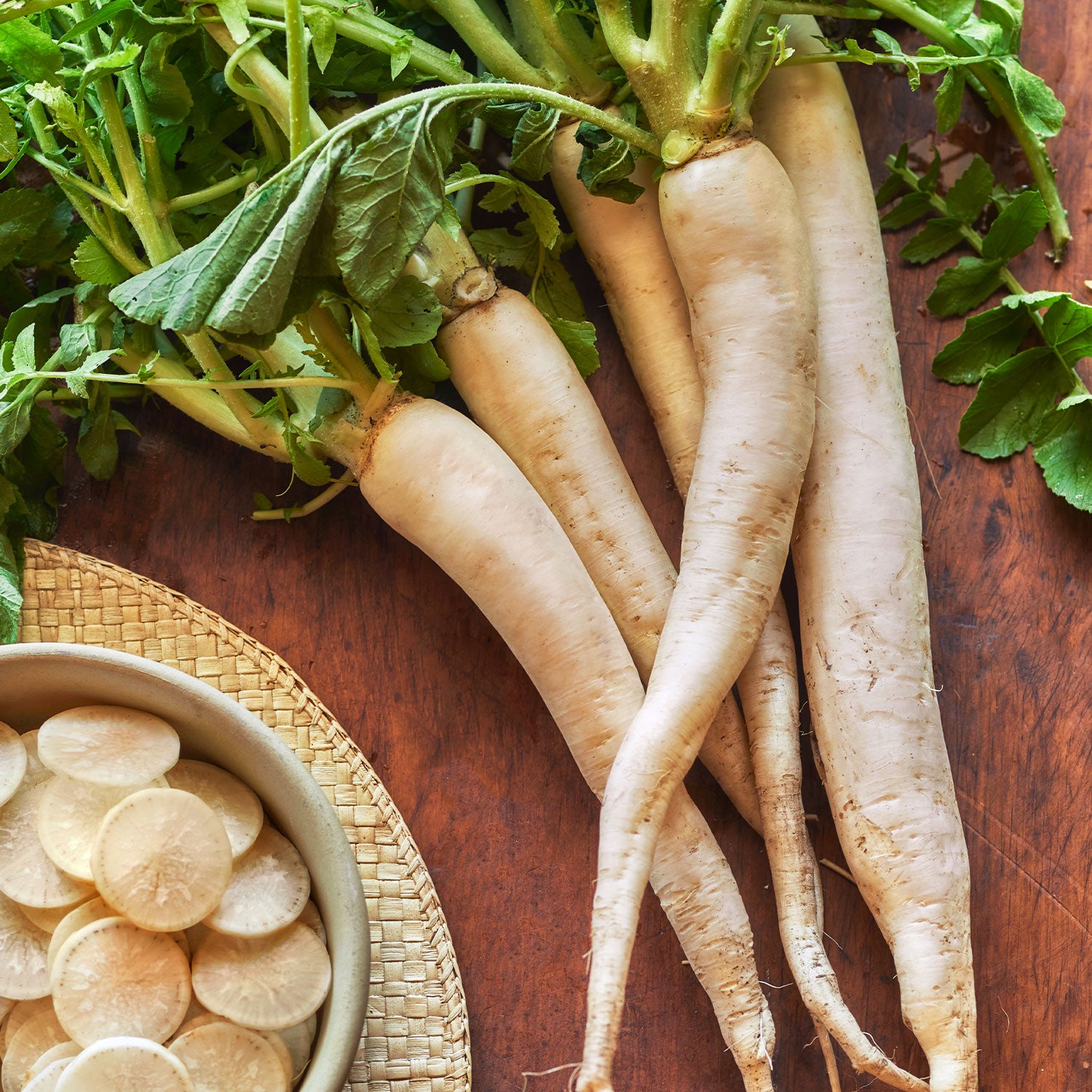 Daikon Long Radish