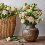 First Love Lisianthus