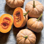 ButterKin Winter Squash