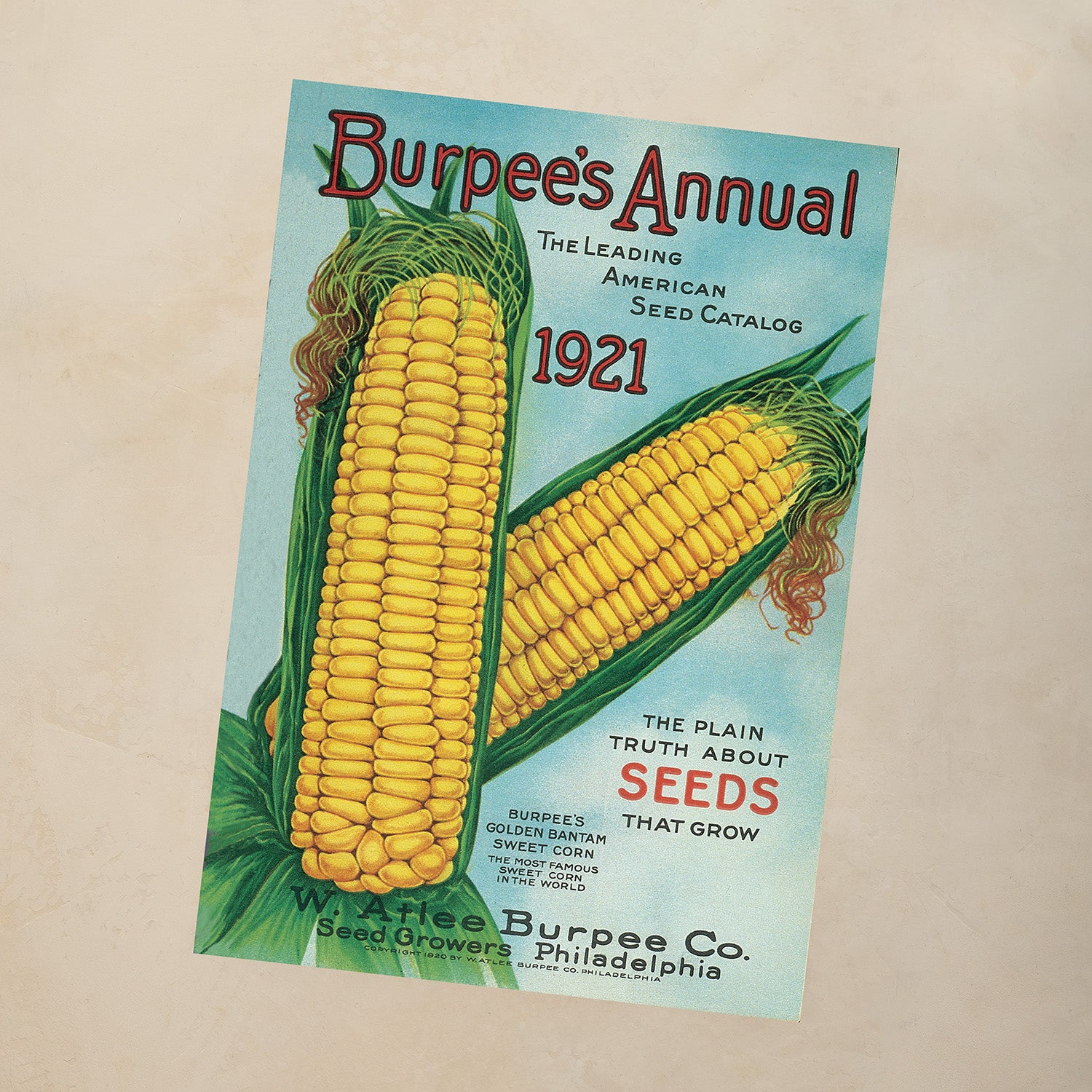 Golden Bantam Corn Beeswax Candle
