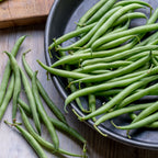 French Filet Stringless Bush Bean