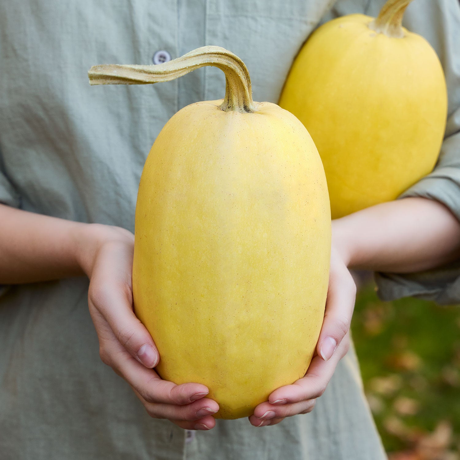 Vegetable Spaghetti Winter Squash