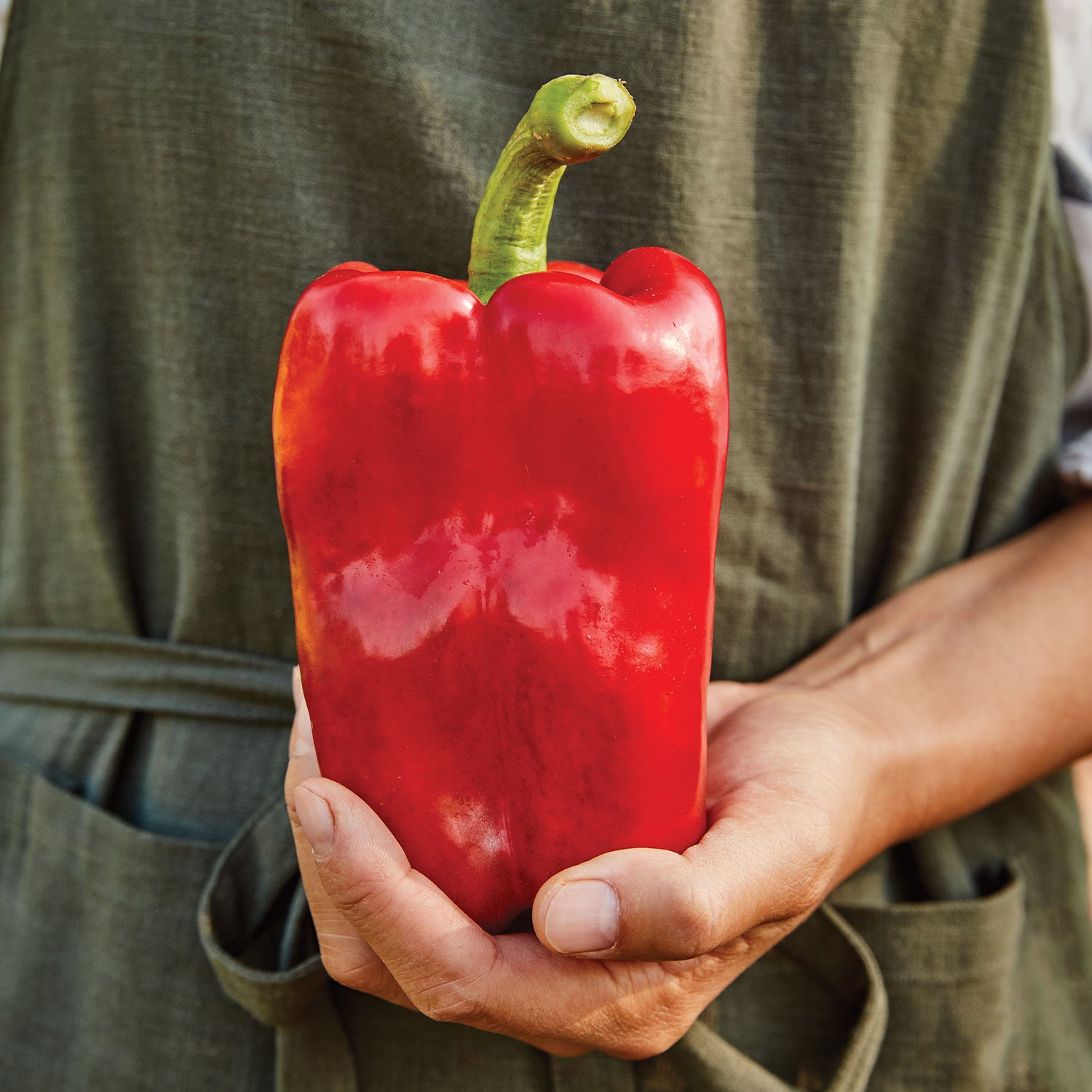Great Stuff Sweet Pepper