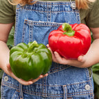 Supreme Sweet Pepper