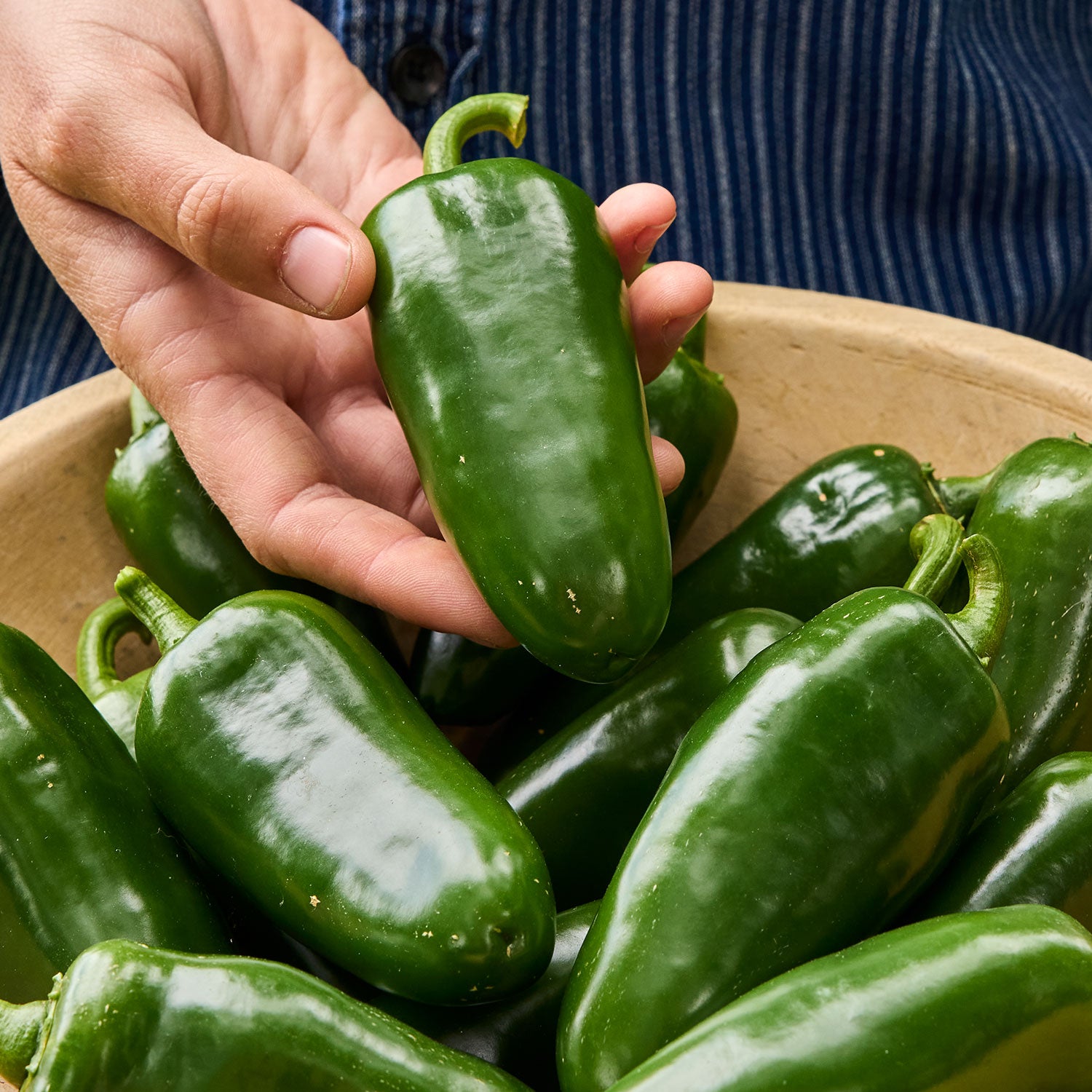 Big Guy Hot Jalapeno Pepper