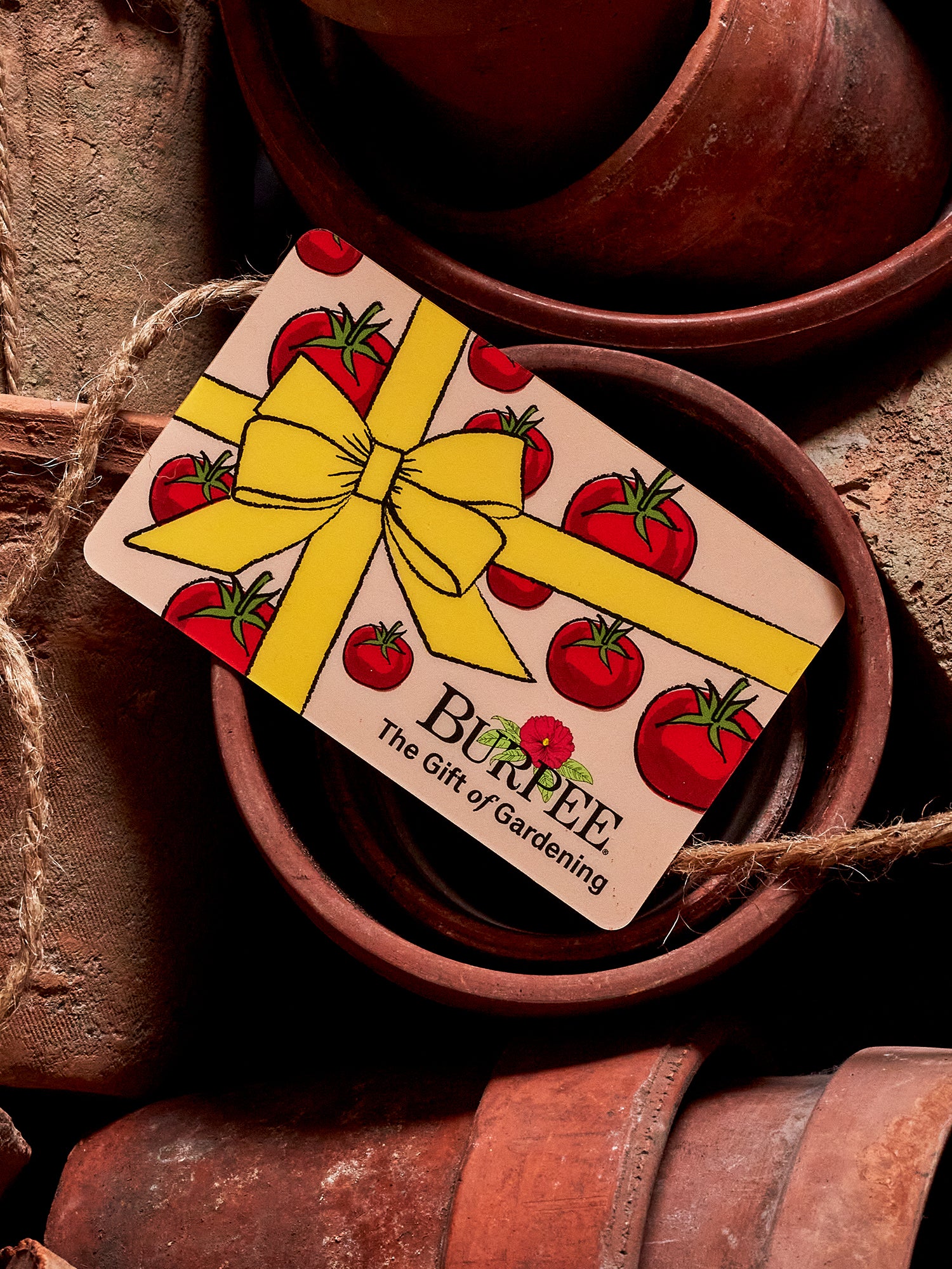 eGift Card