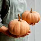 ButterKin Winter Squash
