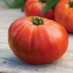 Porterhouse Tomato
