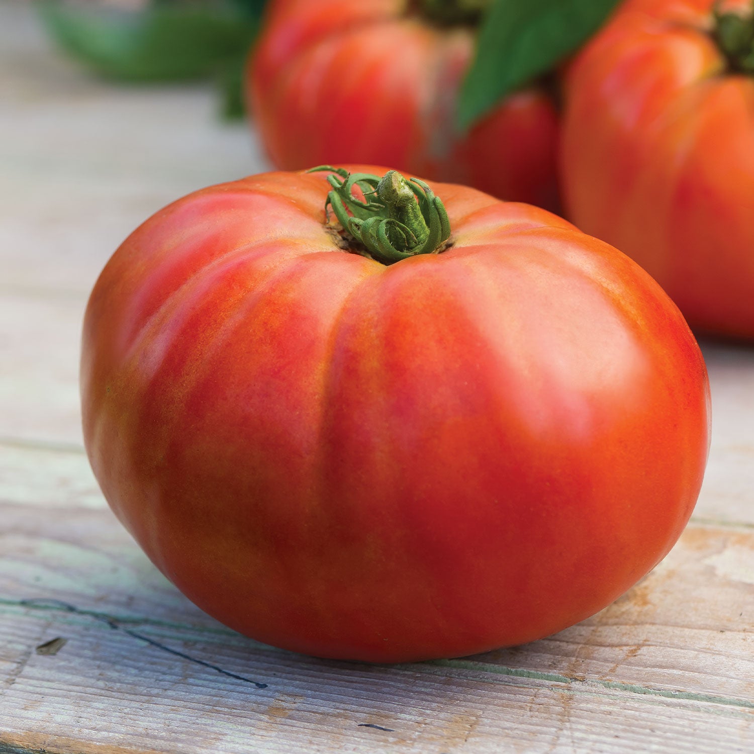 Porterhouse Tomato