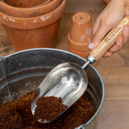 Burpee Stainless Steel Scoop