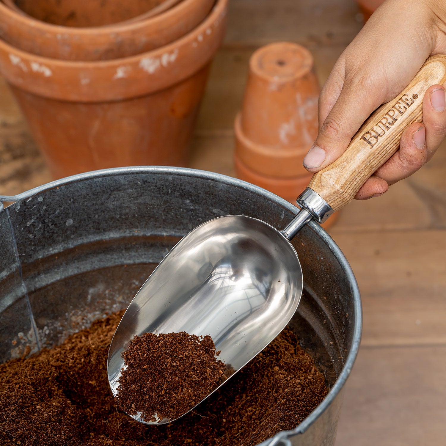 Burpee Stainless Steel Scoop