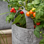 Burpee Root Pouch - Gray