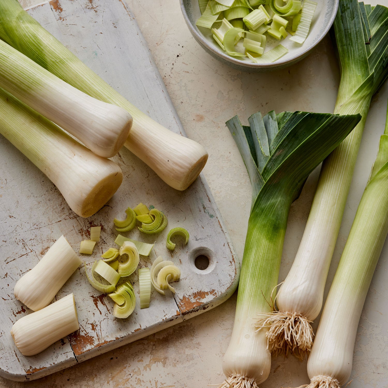 Lancelot Leek Bare Roots