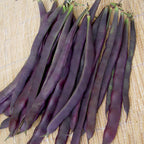 Trionfo Violetto Pole Bean