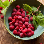 Prelude Raspberry Bare Roots