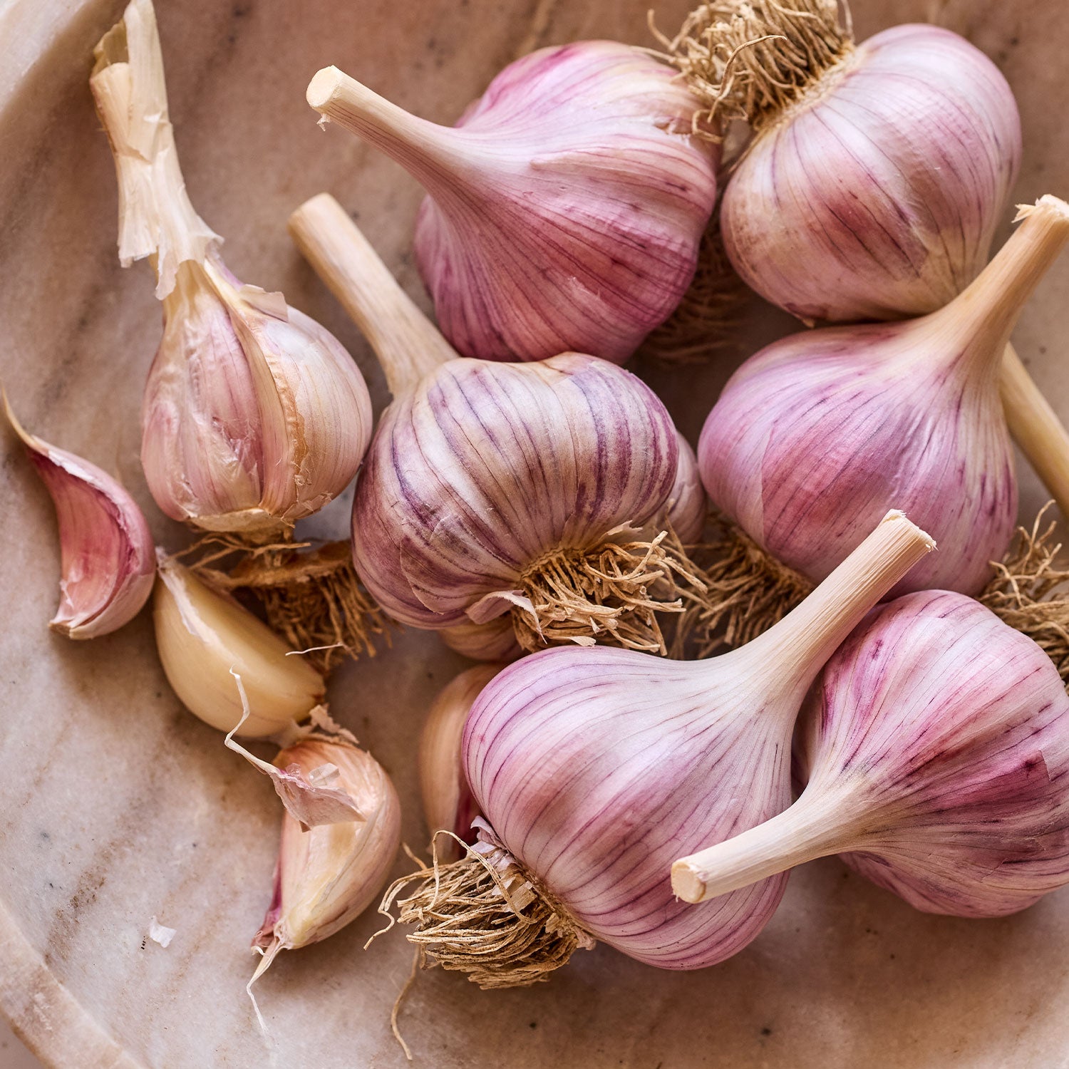 Spanish Roja Garlic Bulbs