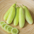 Honey Plus Cucumber