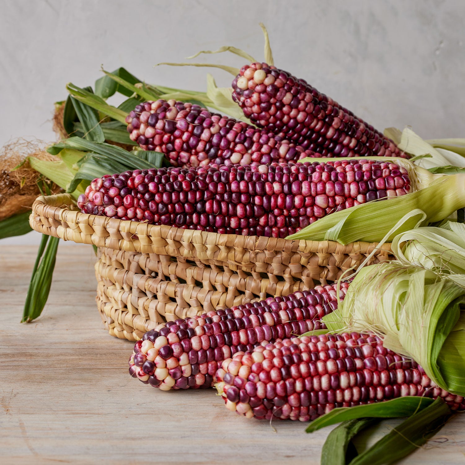 Ultra Violet Corn