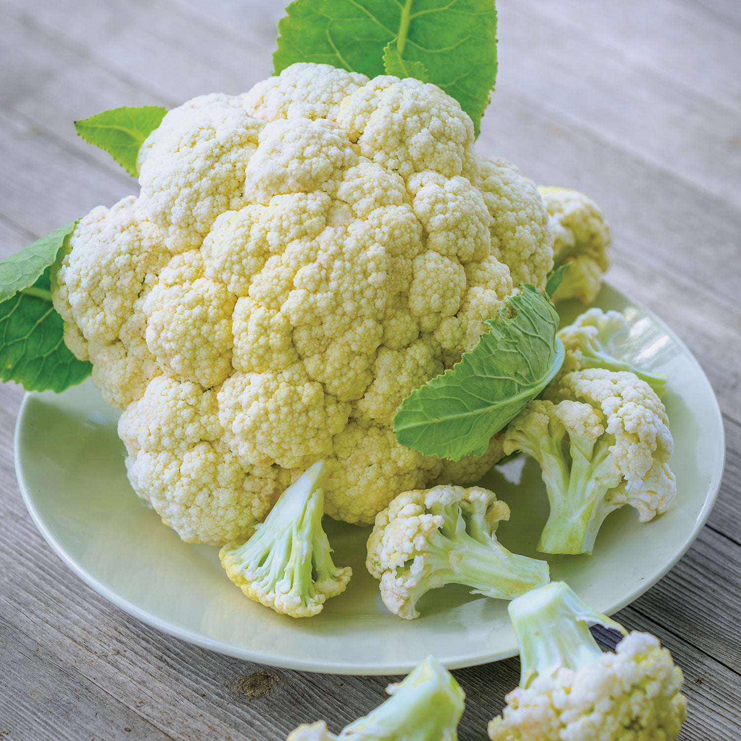 White Corona Cauliflower