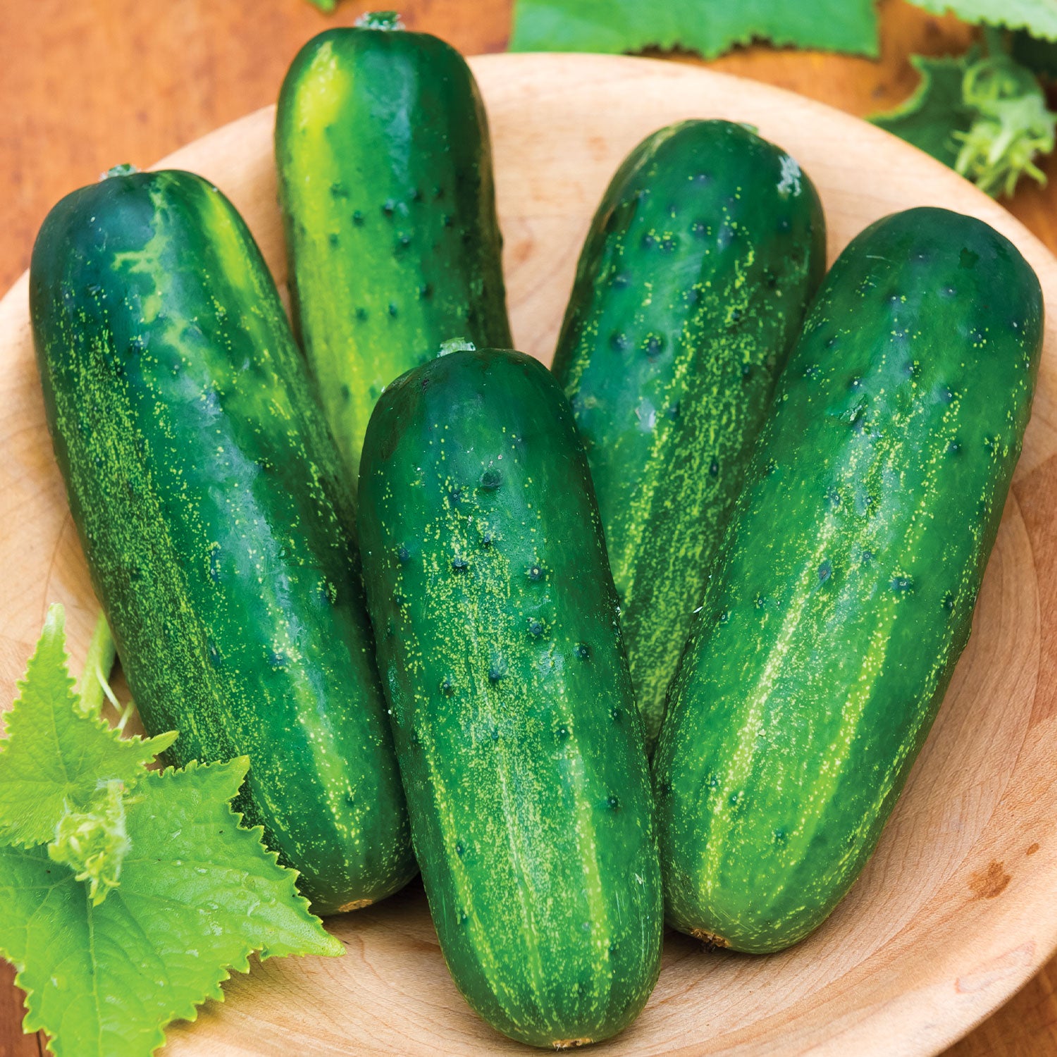 Supremo Cucumber