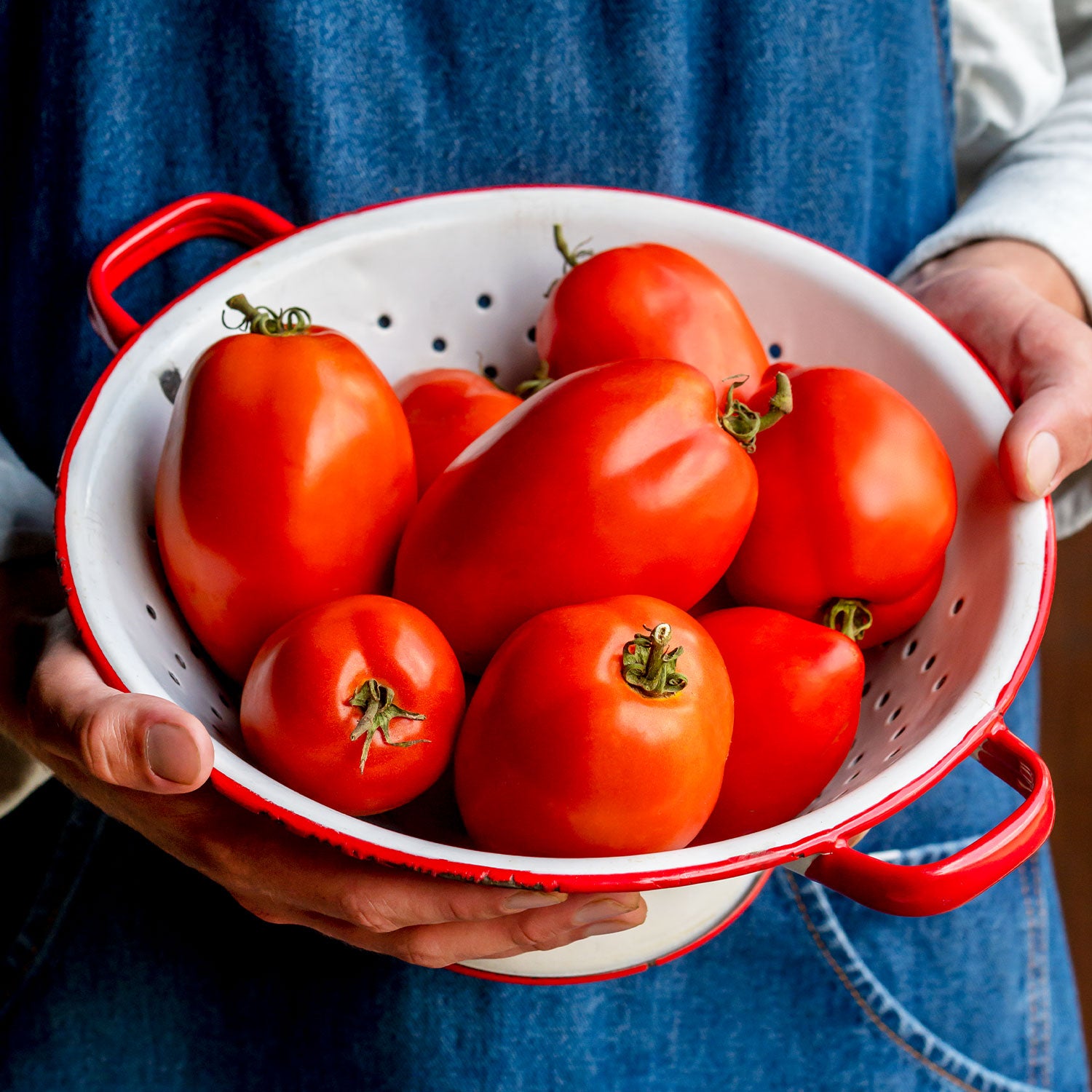 Big Mama Tomato