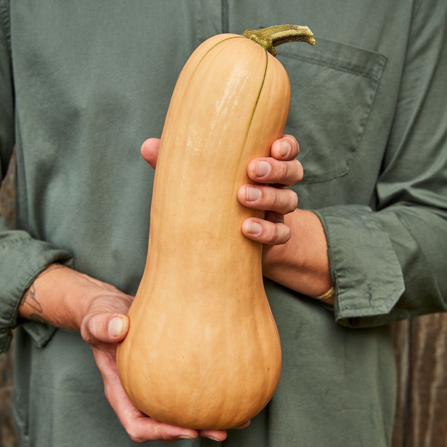 Burpee's Butterbush Winter Squash