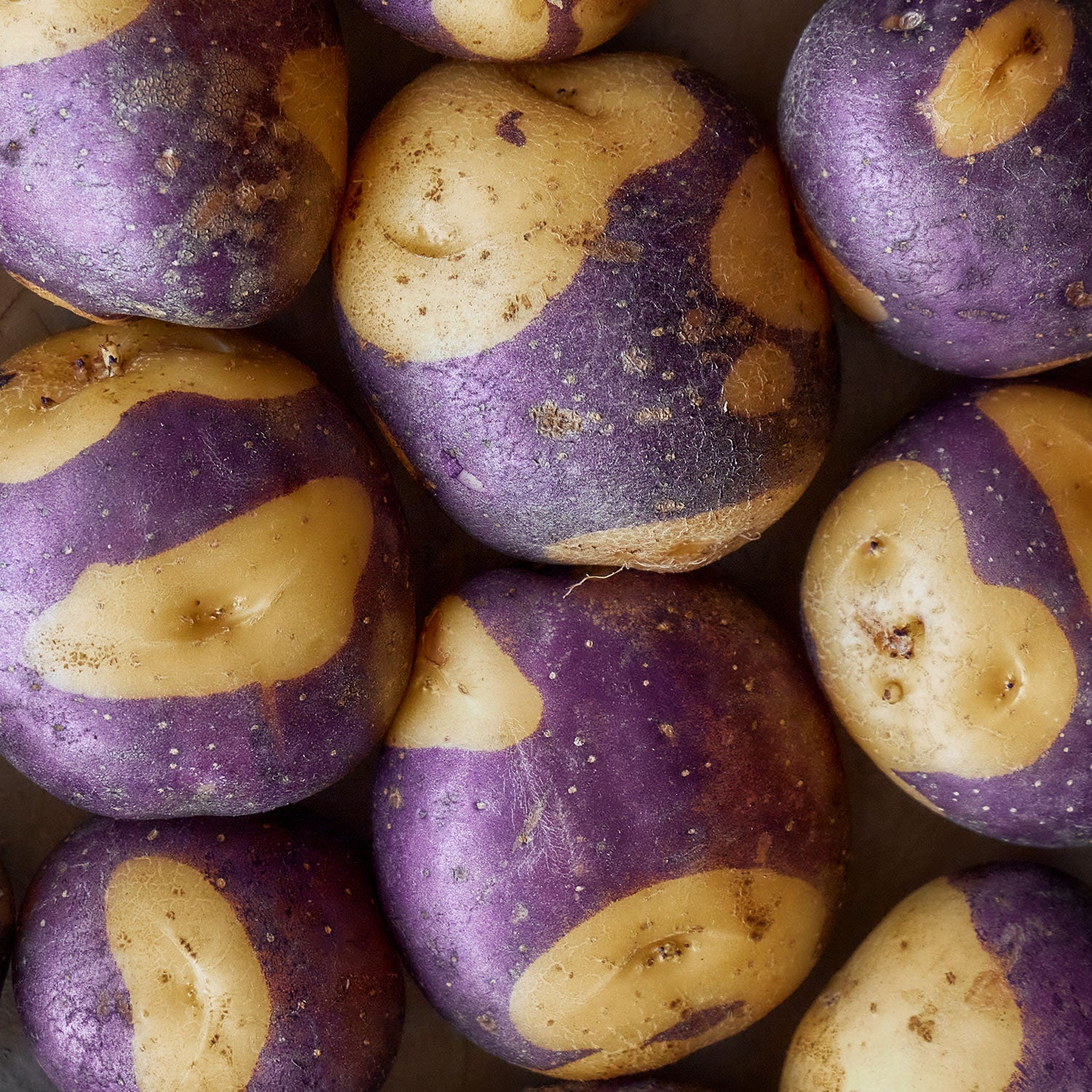 Masquerade Potato Tubers