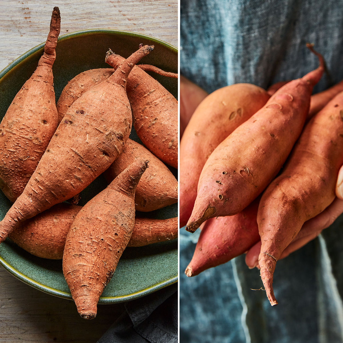 Sweet Potato Collection