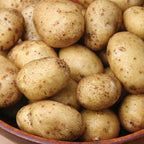 German Butterball Potato Tubers