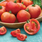 Summer Girl Tomato