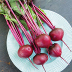 Mono Round Red Beet